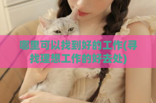 哪里可以找到好的工作(寻找理想工作的好去处)  第1张