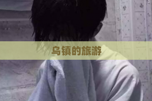 乌镇的旅游  第1张