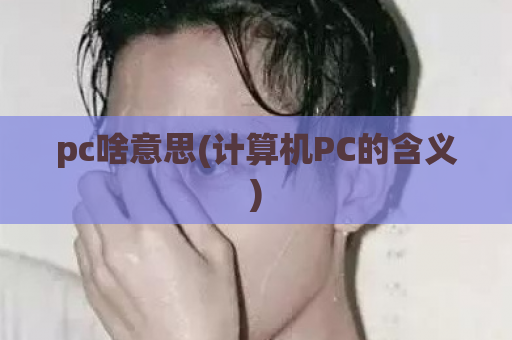 pc啥意思(计算机PC的含义)  第1张