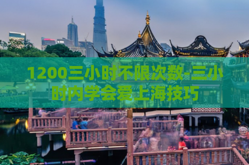 1200三小时不限次数-三小时内学会爱上海技巧  第1张