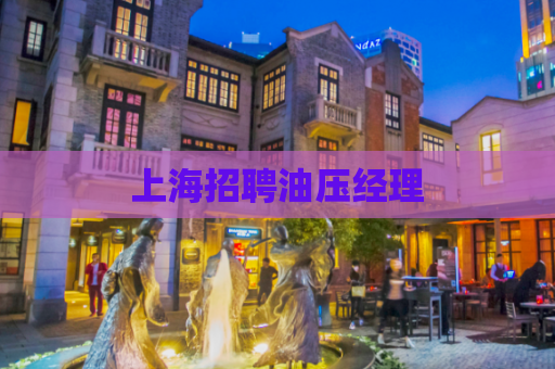 上海招聘油压经理  第1张 上海招聘油压经理  第1张