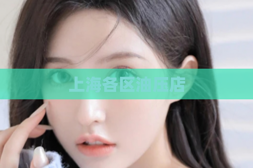 上海各区油压店  第1张