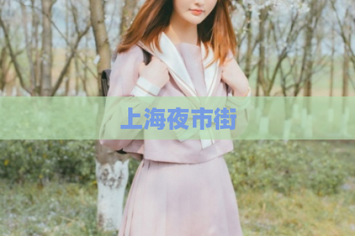 上海夜市街  第1张