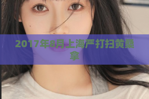 2017年8月上海严打扫黄桑拿  第1张