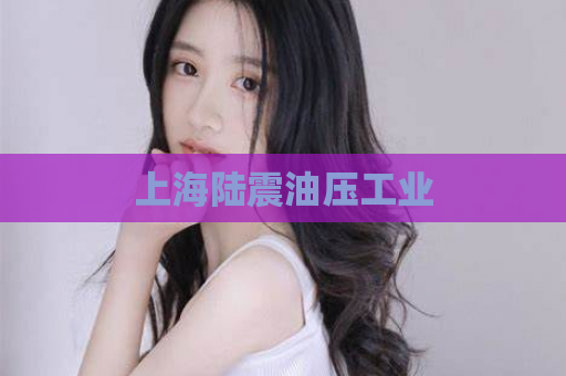 上海陆震油压工业  第1张