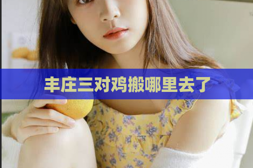 丰庄三对鸡搬哪里去了  第1张