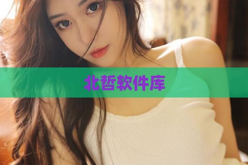 北哲软件库  第1张