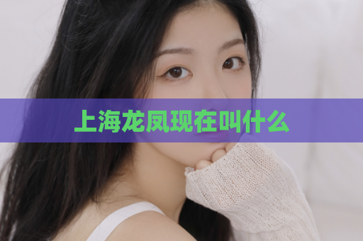 上海龙凤现在叫什么  第1张