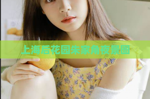 上海后花园朱家角夜景图  第1张