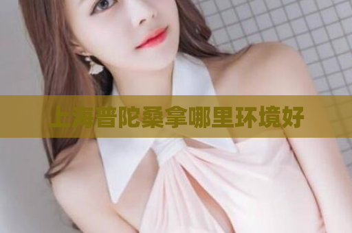 上海普陀桑拿哪里环境好  第1张