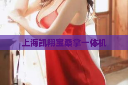 上海凯翔宝桑拿一体机  第1张