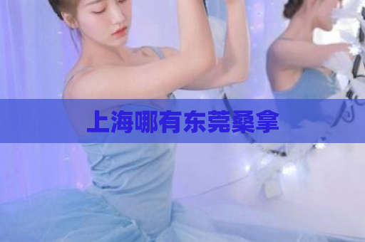 上海哪有东莞桑拿 第1张 上海哪有东莞桑拿 第1张