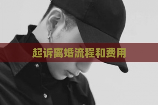 起诉离婚流程和费用  第1张