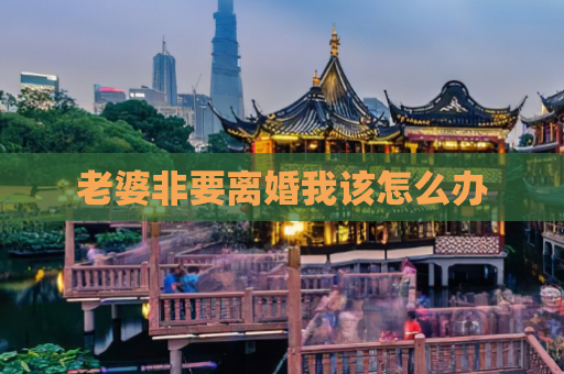 老婆非要离婚我该怎么办  第1张