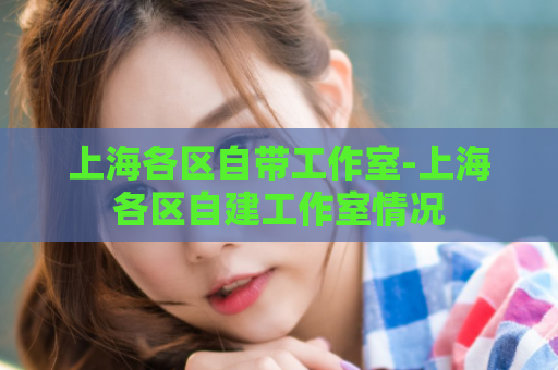 上海各区自带工作室-上海各区自建工作室情况  第1张
