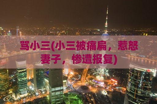 骂小三(小三被痛扁，惹怒妻子，惨遭报复)  第1张