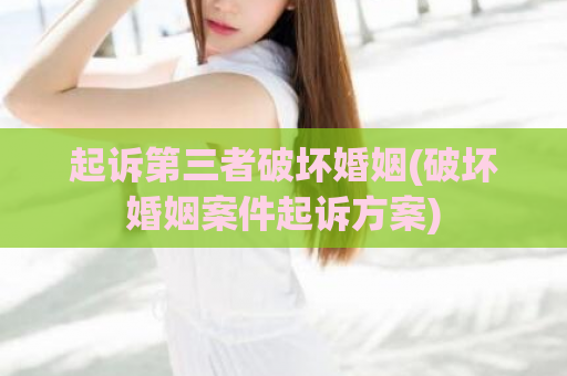 起诉第三者破坏婚姻(破坏婚姻案件起诉方案)  第1张