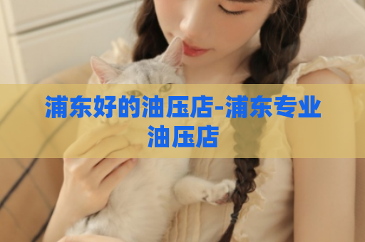 浦东好的油压店-浦东专业油压店  第1张