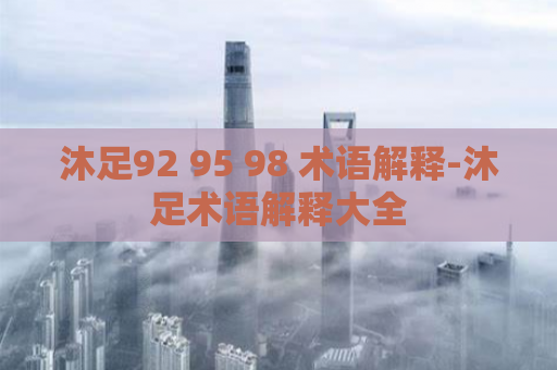 沐足92 95 98 术语解释-沐足术语解释大全  第1张