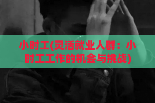 小时工(灵活就业人群：小时工工作的机会与挑战)  第1张